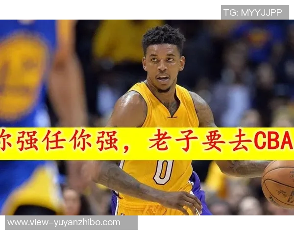 追梦：尼克·杨是勇士当年夺冠征程中的重要功臣